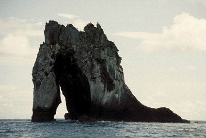 Isla Gorgona