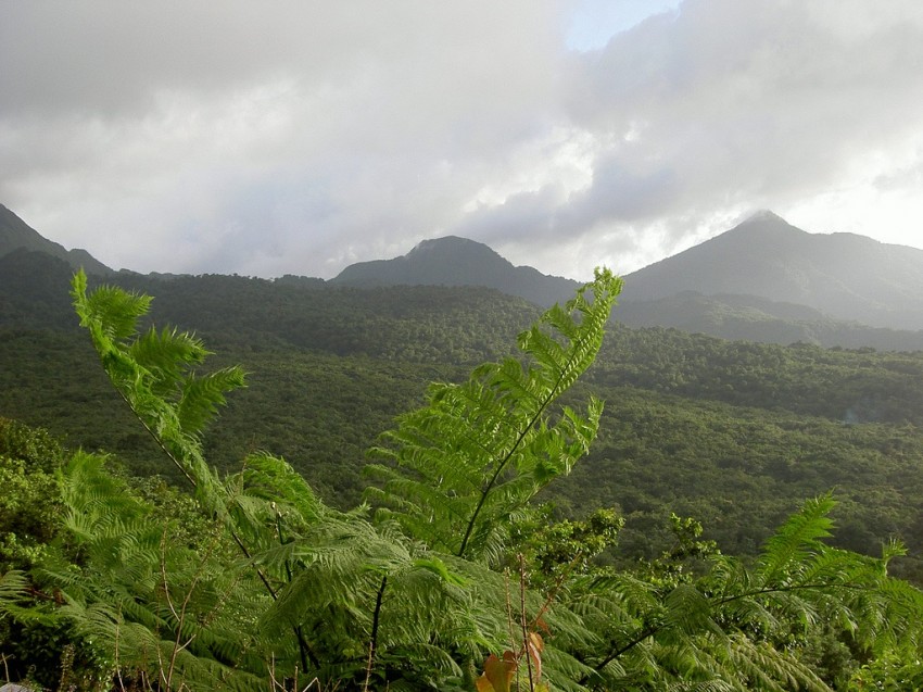 Parque Nacional Morne Trois Pitons - Dominica - Ser Turista