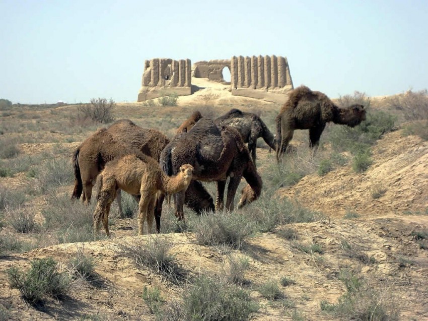 Merv, Oasis De La Ruta De La Seda - Turkmenistán - Ser Turista