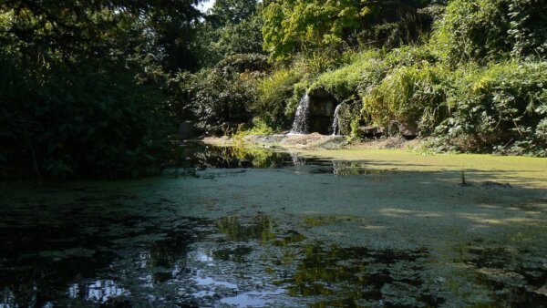 Brandon Hill 2