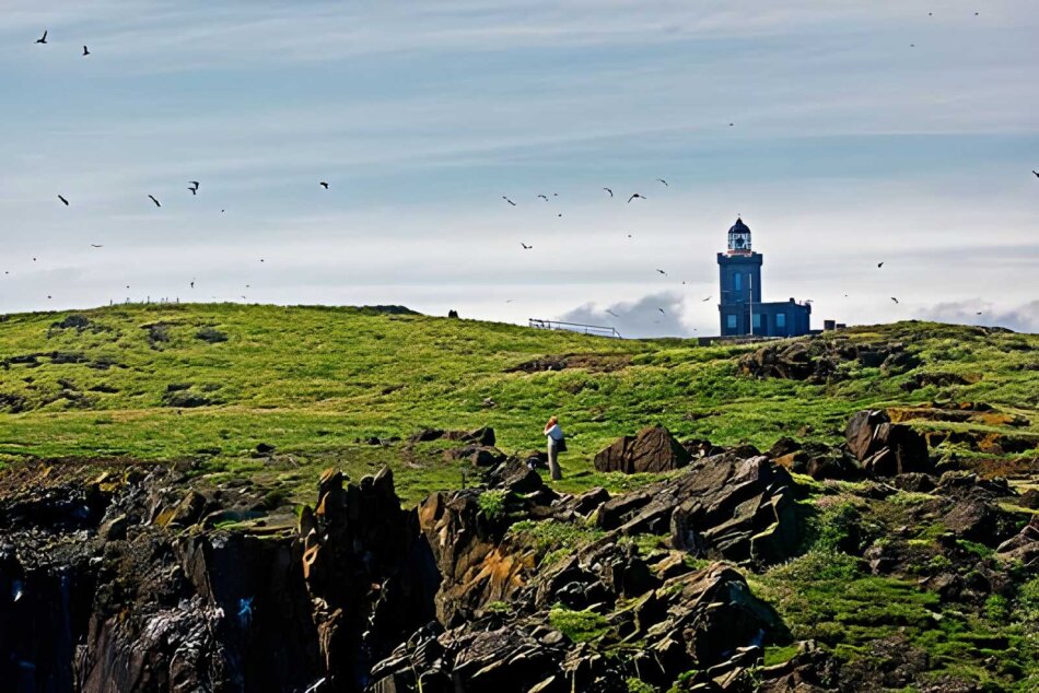 Paisaje natural en Isla de May, Escocia