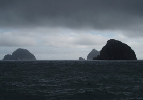 Golfo de Alaska 1