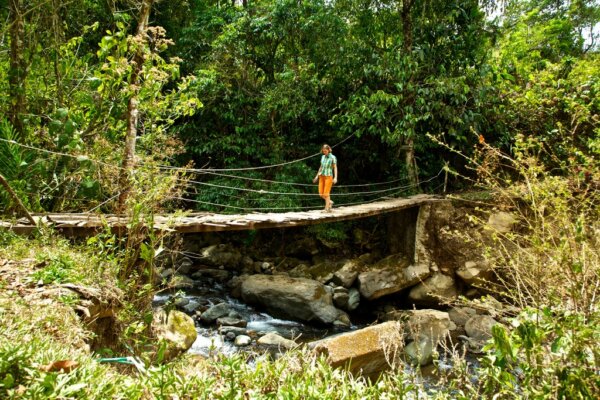 Parque Nacional Chirripo 2