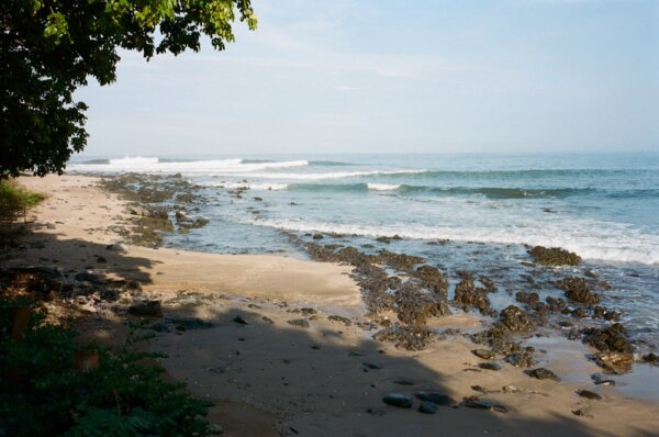 Troncones 1