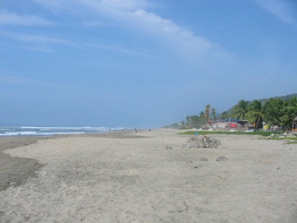 Troncones 3