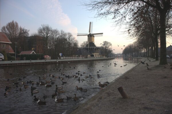 Weesp 2