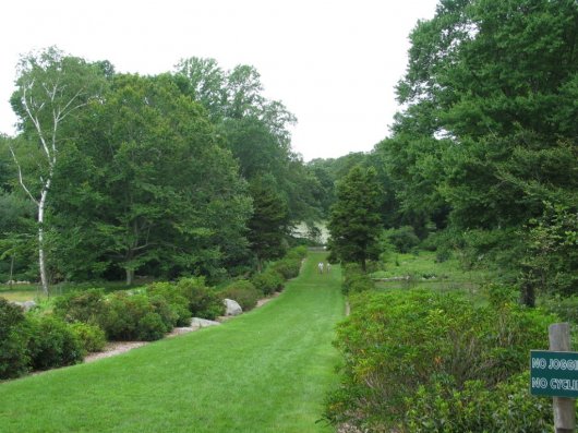 Arboreto de la Universidad de Connecticut 1