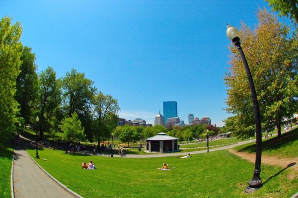 Boston Common 2