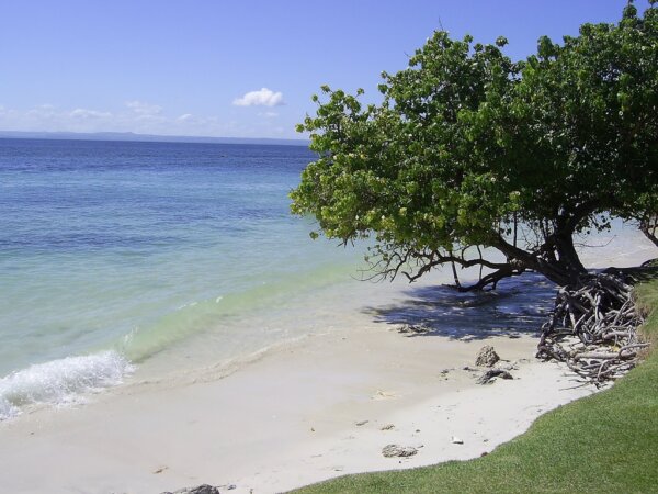 Cayo Levantado 1