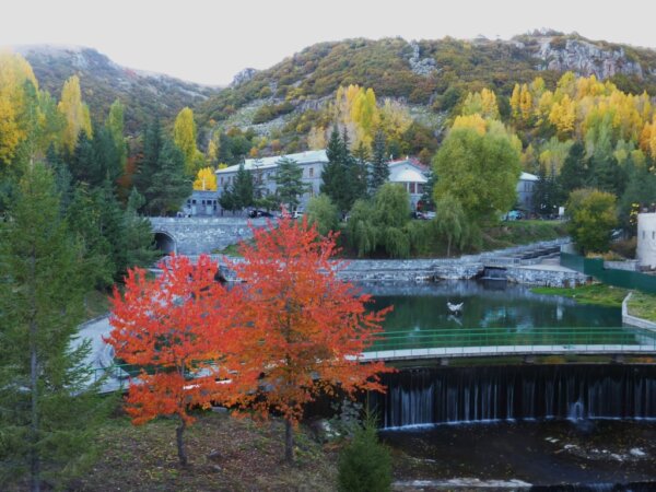 Jermuk 2