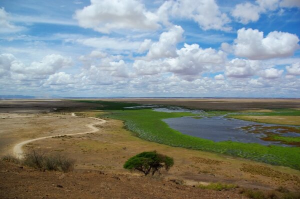 Parque Amboseli 2