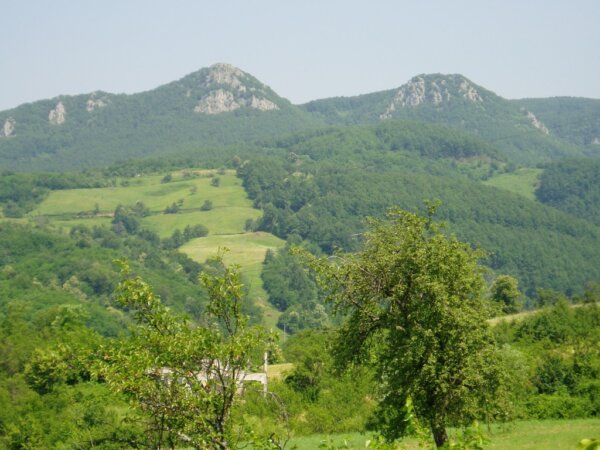 Parque Kozara 1