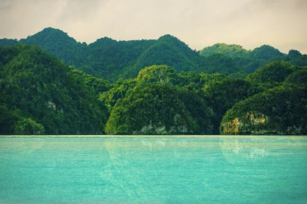 Parque Los Haitises 1