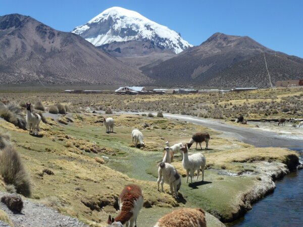 Parque Sajama 2