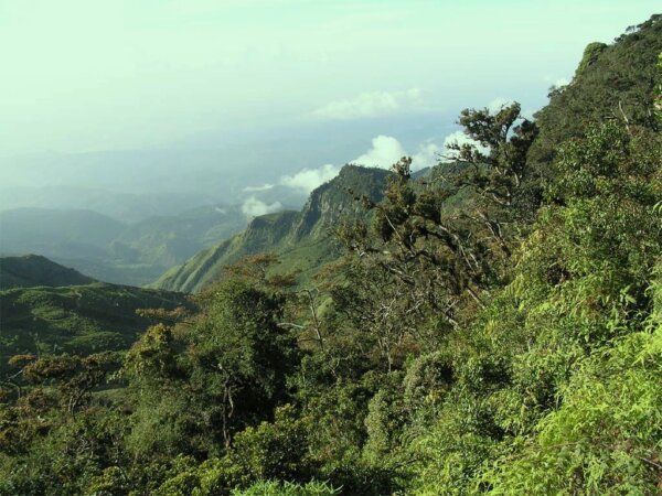 Parque de las Llanuras de Horton 1