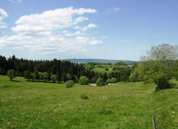 Bosque de Turingia 4