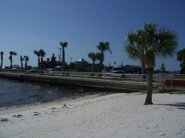 Cedar Key 1