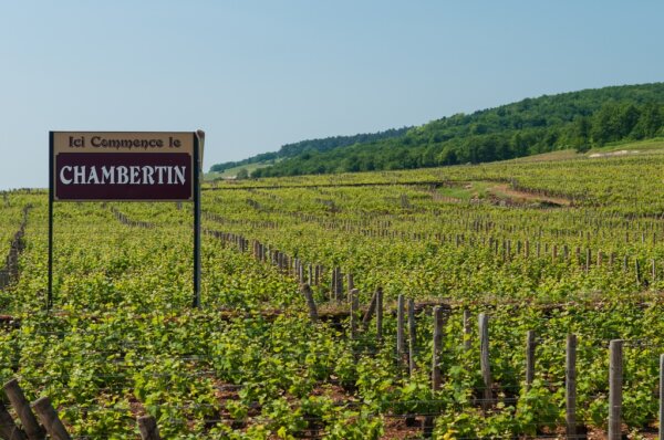 Chambertin 1
