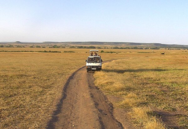 Safari Kenia y Tanzania 1