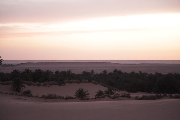 Adrar 5