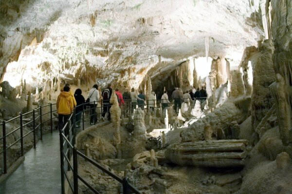 Cueva Postojna 2