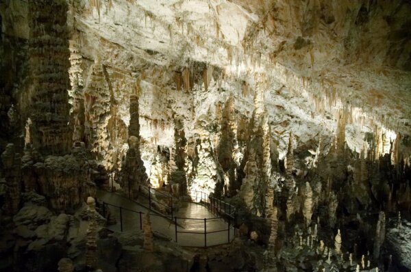 Cueva Postojna 6