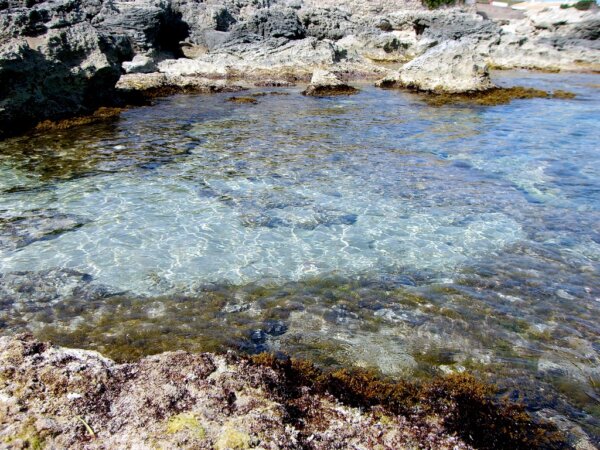 Formentera 6