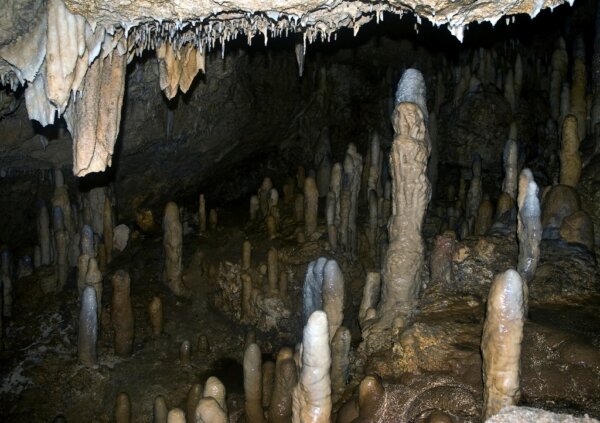 Harrison's Cave 3