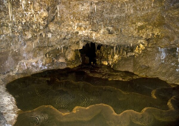 Harrison's Cave 4