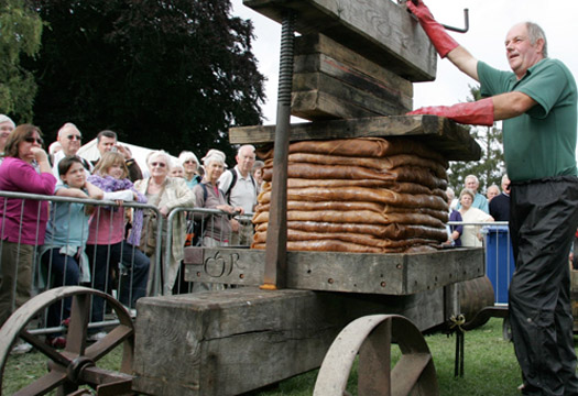Ludlow Food Festival