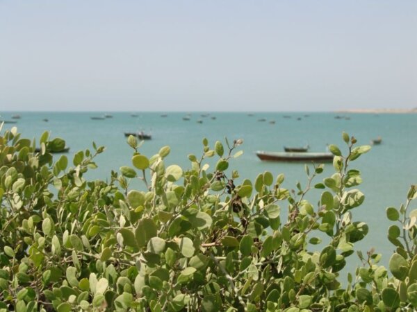 Gwadar 6