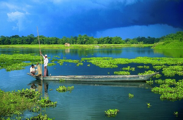 Majuli 1