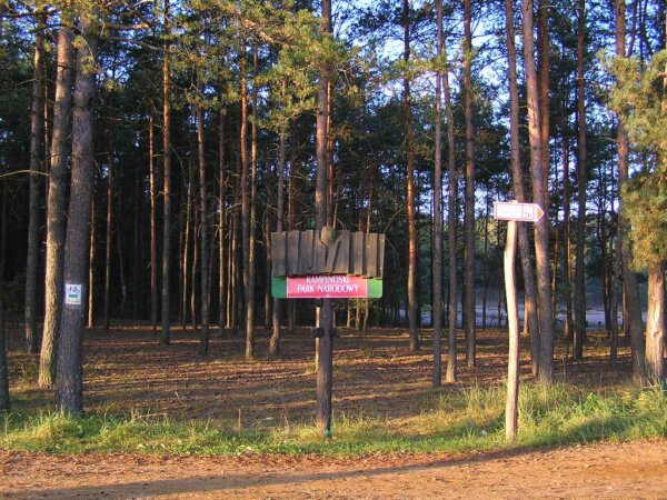 Parque Kampinos 1