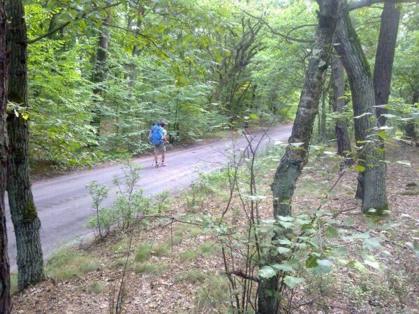 Parque Kampinos 3