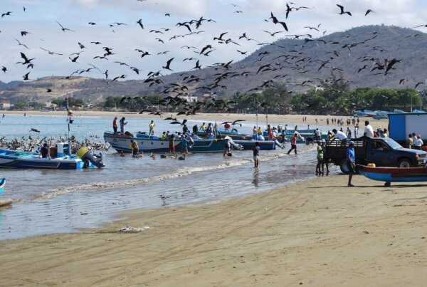 Puerto Lopez 2