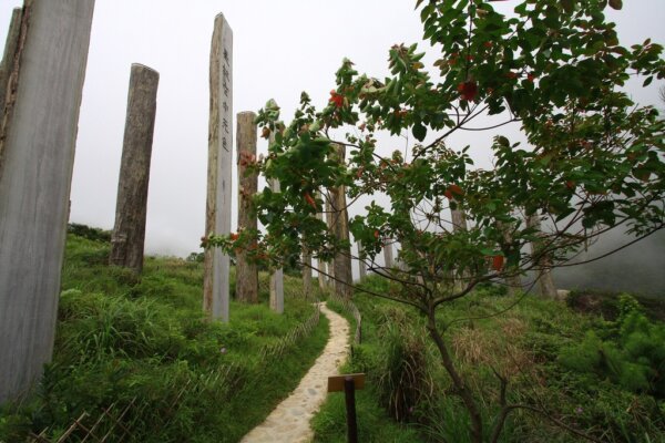 Camino de la Sabiduria 1