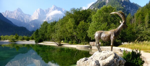 Parque Triglav 1