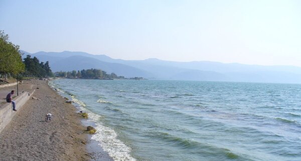 Nicea 2