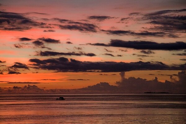 Raja Ampat 1