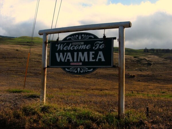 Waimea 1