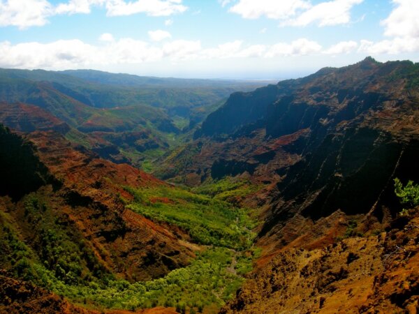 Waimea 5