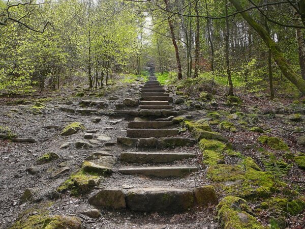 The Chevin 2