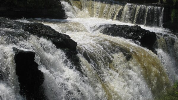 Grandes Cataratas del rio Passaic 5