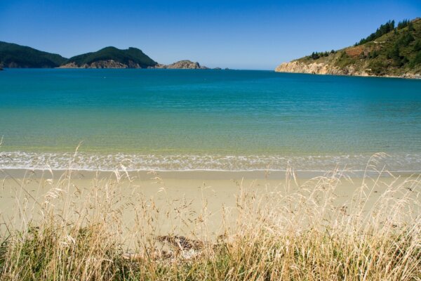 Marlborough Sounds 6