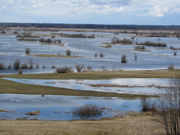 Parque Narew 5