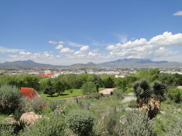 Saltillo 4