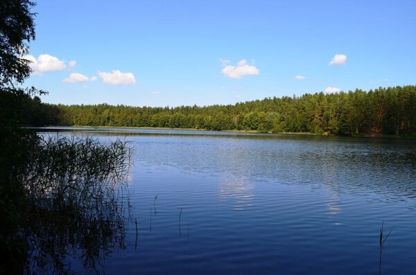 Parque Dzukija 4