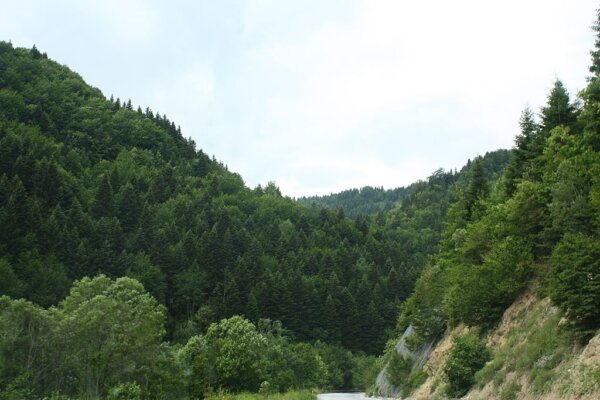 Parque Mavrovo 3