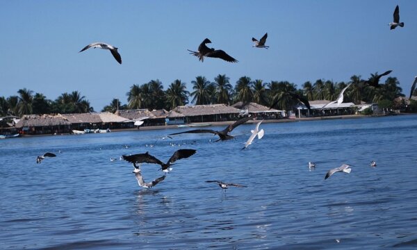 Boca del Cielo 5