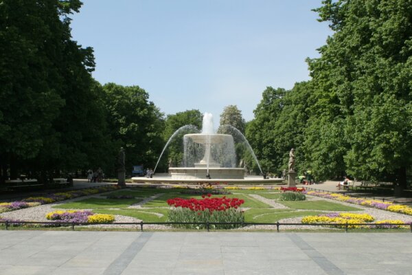 Jardin Sajon 6
